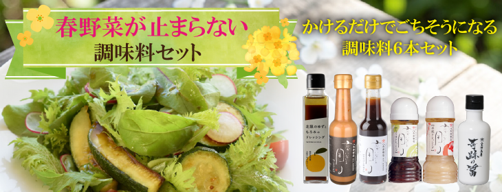 春野菜が止まらない調味料6本セット